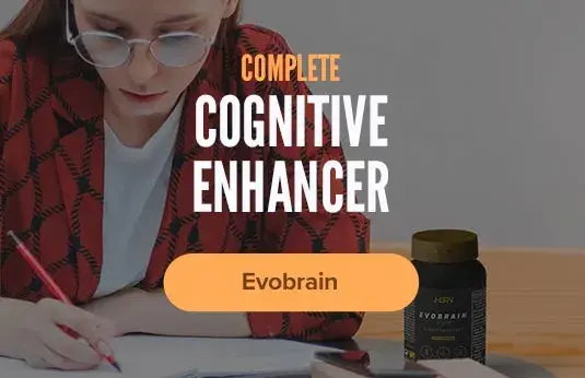 Evobrain