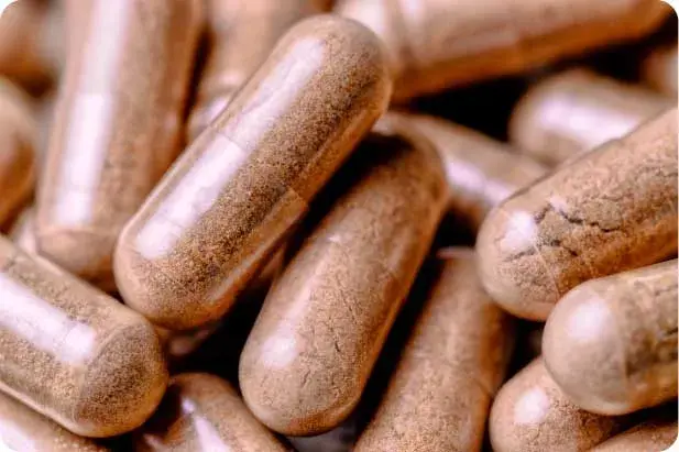 Buy ginkgo biloba HSN