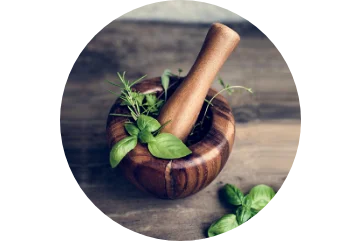 extractos de plantas