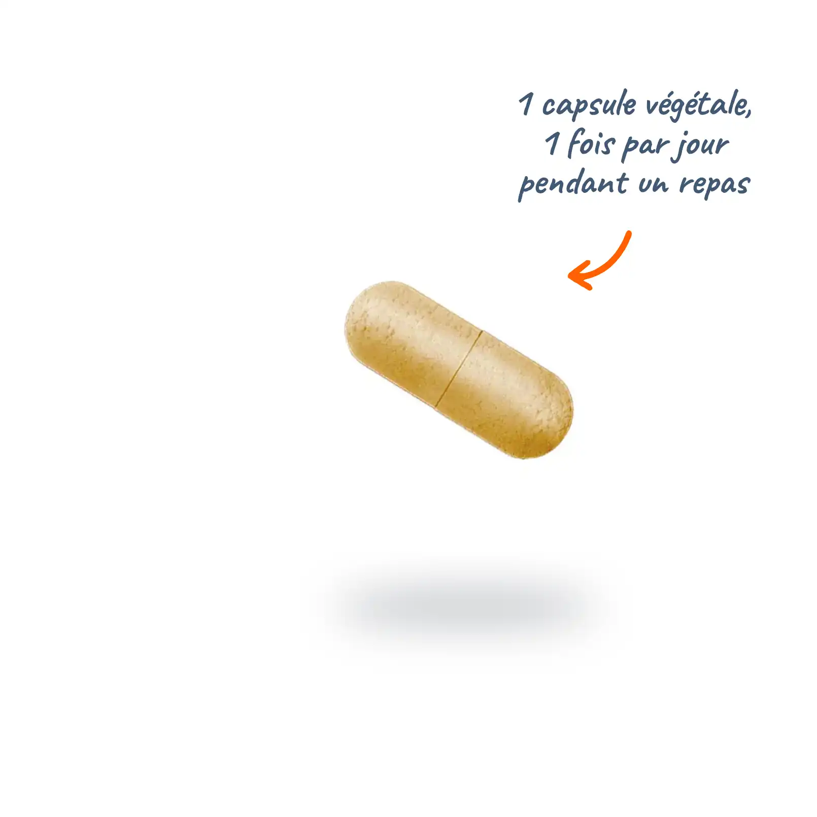 feenugreek feenugreek