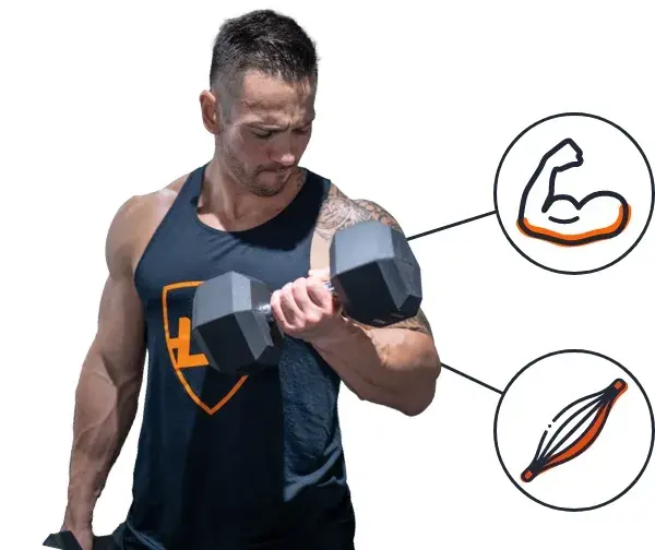 Supplément à base de viande