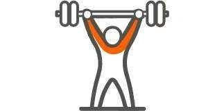 Masse musculaire.