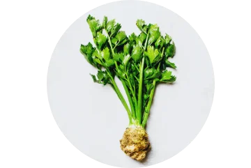 extractos de plantas