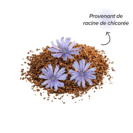 Provenance de l’inuline