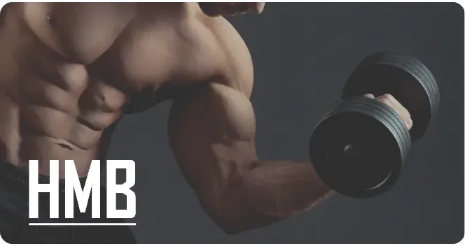 À quoi sert le HMB ?